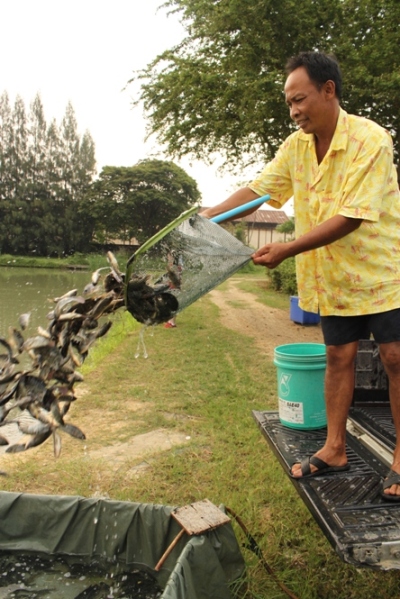 สาดดอีก ทั้งเอามาเองแล้วก็ของบ่อ ทุ่มทุน Adam จะเอา Arapaima ให้ได้ :grin: