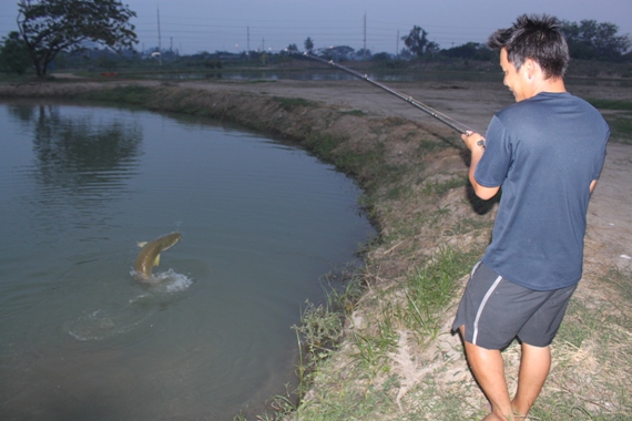 Adam หา Arapaima ทั้งวันไม่เจอเหยื่อเปนเหยื่อสดเหยื่อตายย ผมหนีมาตีเหยื่อปลอมคนเดวเงียบเหนตัวเล็กๆๆม