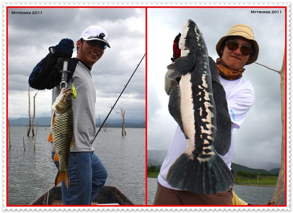 ( : เขื่อนศรี ไปกี่ที ก็มันส์ได้ : ) "KAYAK FISHING หน้า 7 เลยครับ"