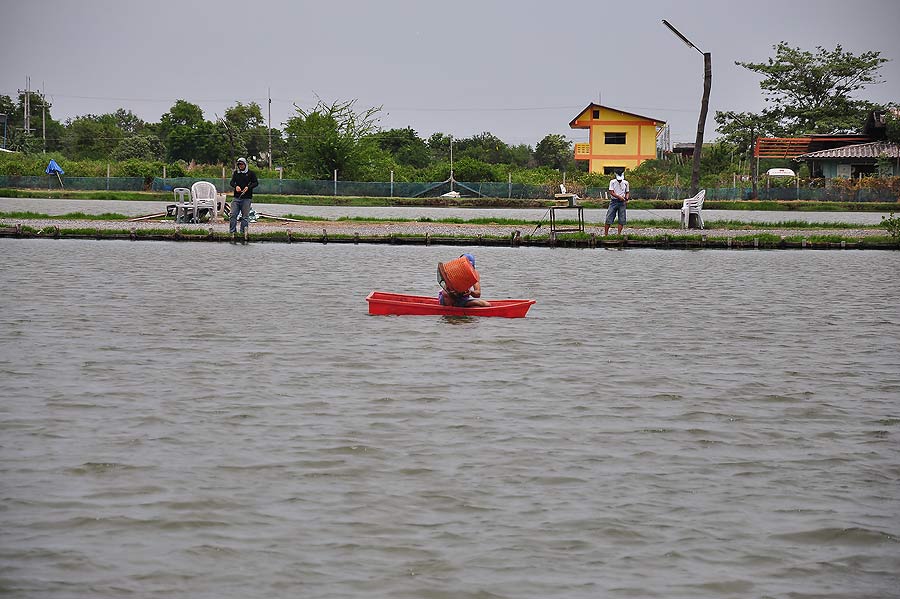 อ้าวใครลงไปพายเรือเล่น :grin: :ohh: :ohh: :ohh: :ohh: :o