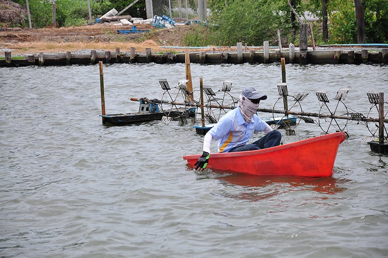 พายุเข้าลมแรงเรือเล็กควรงดออกจากฝ