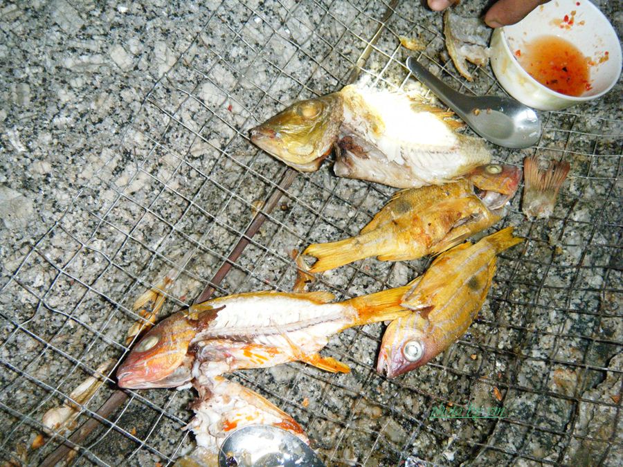 ปลาย่างชุดที่2   น้ากรหลับส่วนเราไม่หลับก็ต้องหาอะไรกินก่อน   เหมือนที่ว่า      [b]ปลาไม่กินคนกินก่อ