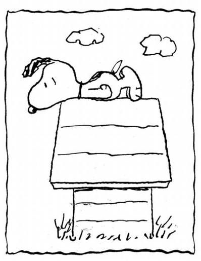 เค้าว่ากันว่า เจ้านี่แหละคือต้นกำหนด Planking  :laughing: :laughing: :laughing: