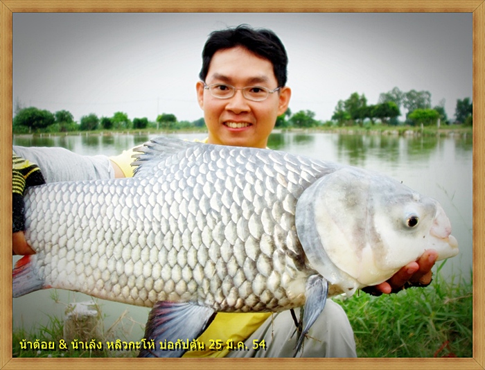 ตัวนี้.... ทริปคราวก่อน ...เมื่อวันที่  25 มี.ค. 54   ครับ   :grin:     [url='http://www.siamfishin