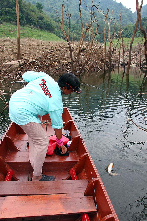 ไต๋โกงัดเรือไหลเอื่อยๆ มาเจอหมายเด็ดเป็นหุบเล็กๆ
" มีปลาแน่โว้ยโต้ " ว่าแล้วก็ทำเหยื่อหล่นตุ๊บ...