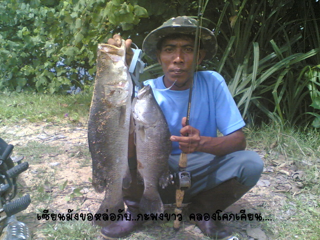รูปนี้วันนี้ครับ ตอนเทียง 
ทิ้งท้านด้วย 
ท่านเซียนมังไก่ สุดเทพ ครับ

 :cheer: :cheer: :cheer: :