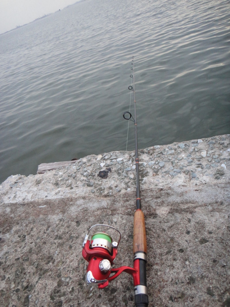 สปิ๋วชุดนี้ ชุดตกปลานิลครับ [url='http://www.siamfishing.com/board/view.php?tid=633348']http://www