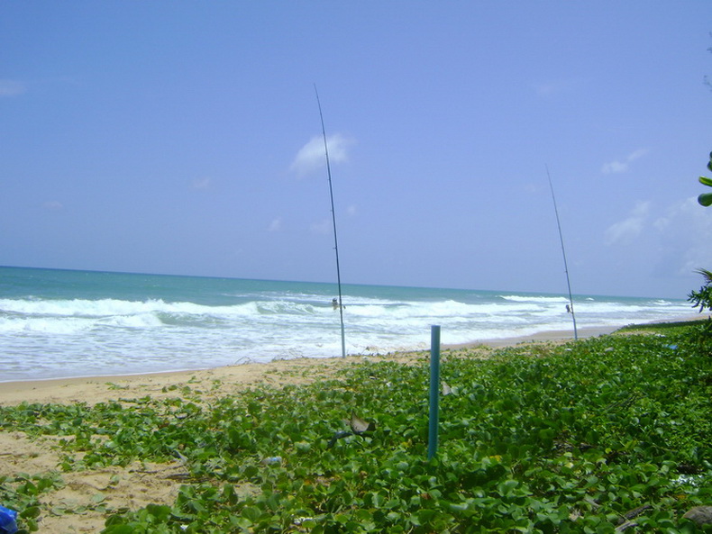 โดดงานไป Surf ชายหาดรอดแห้วหวุดหวิด อิอิ (หนังสั้นจ้า)