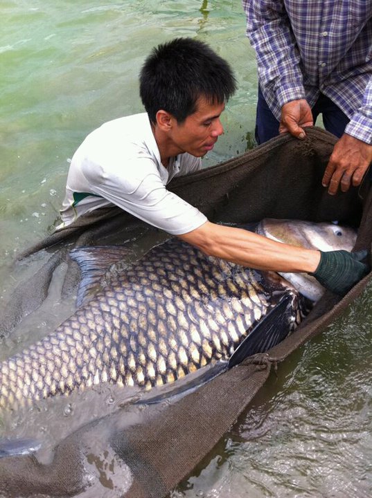 ไปเที่ยวบ่อพี่ชายผมกัน " เลี้ยงไว้ดูเล่น " คำพูดกับคุณพ่อของน้องปลาเหล่านี้ คร