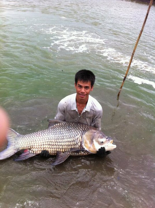 นี่รูปสุดท้ายแล้วครับ ถ้าผมไปมาอีกเดี้ยวจะเอามาฝากแบบเต็มๆเลยนะครับ  :grin: :grin: :grin: