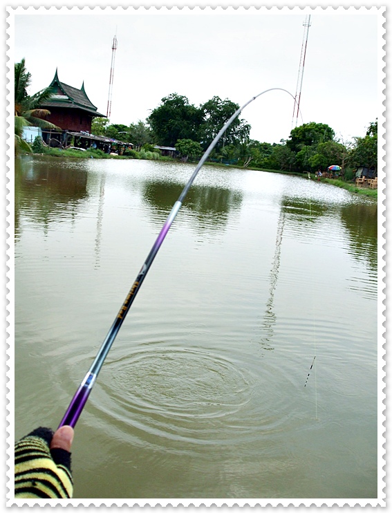 ปลาขวา...   :laughing: