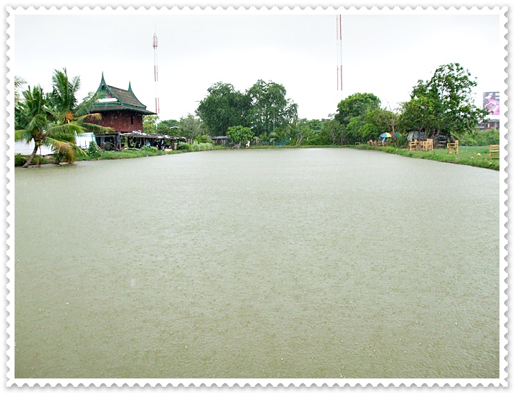 มองผ่านฝน.. ไปยังท้ายบ่อ   :smile:
