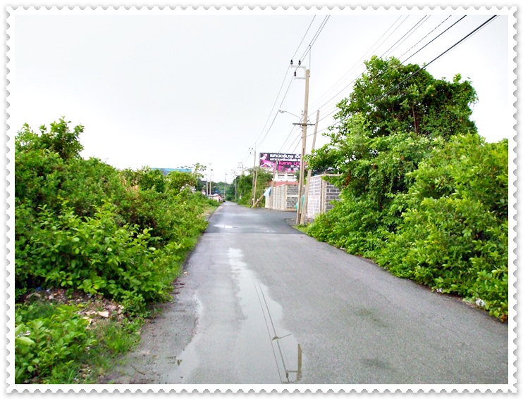 6  โมงเย็น ...เก็บของกลับบ้าน  ..ทางเดิม   :cool: