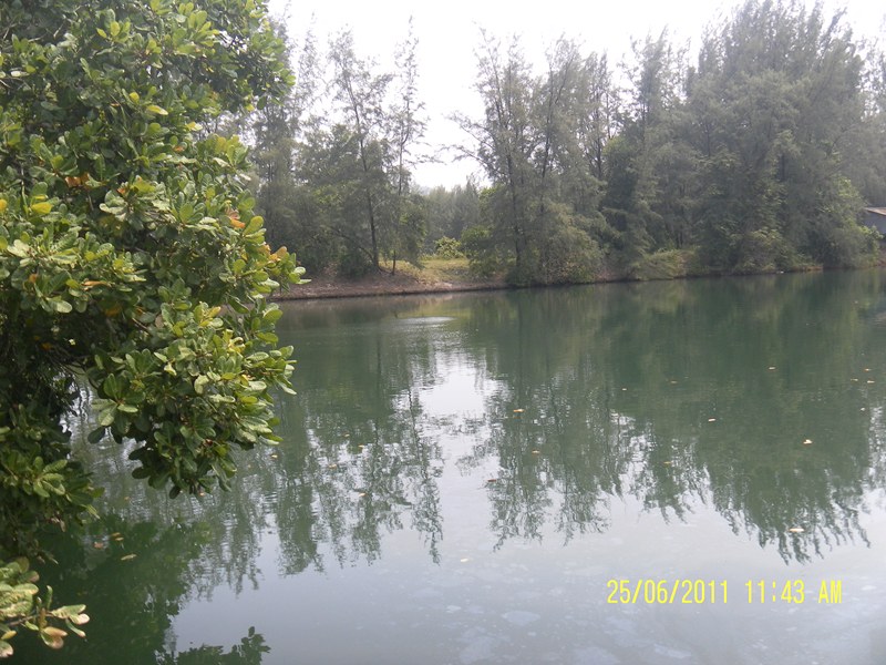 ลูกพี่ครับปลาขึ้นตรงนี้ครับ :laughing: :laughing: