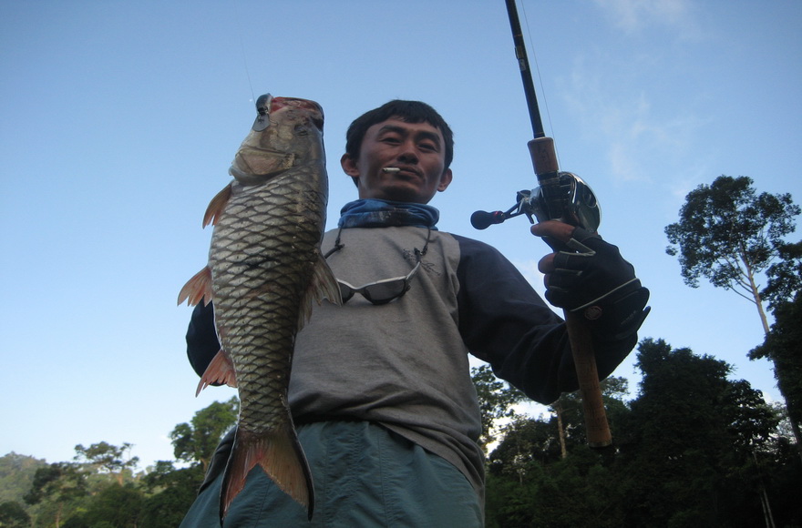 ตัวนี้ไม่ปล่อย เอาไปทำกับข้าวครับ ทั้งกดทั้งวิ่งสนุกมากๆ :laughing: