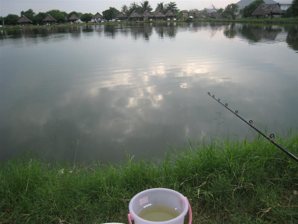 โยนไปเรื่อย ตีไปเรื่อย