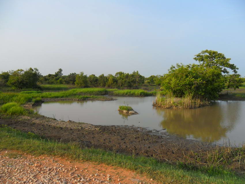 2 ข้างทางตลอดเส้นทาง บริเวณที่น้ำตื้นเขินหน่อย 

น้ำจะขุ่นข้น  [b]ทุกหมาย[/b] เลยครับ  :smile: :sm