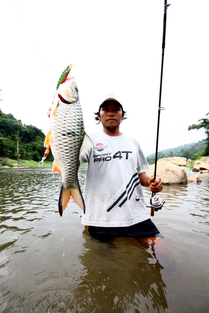 ตัวนี้ต้องแกงอ่อมครับ

 :umh:
