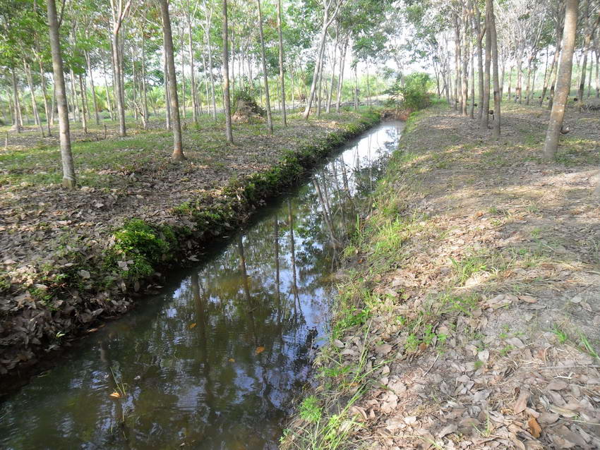 ย้ายหมายใหม่ครับ 

เป็นร่องน้ำสวนย