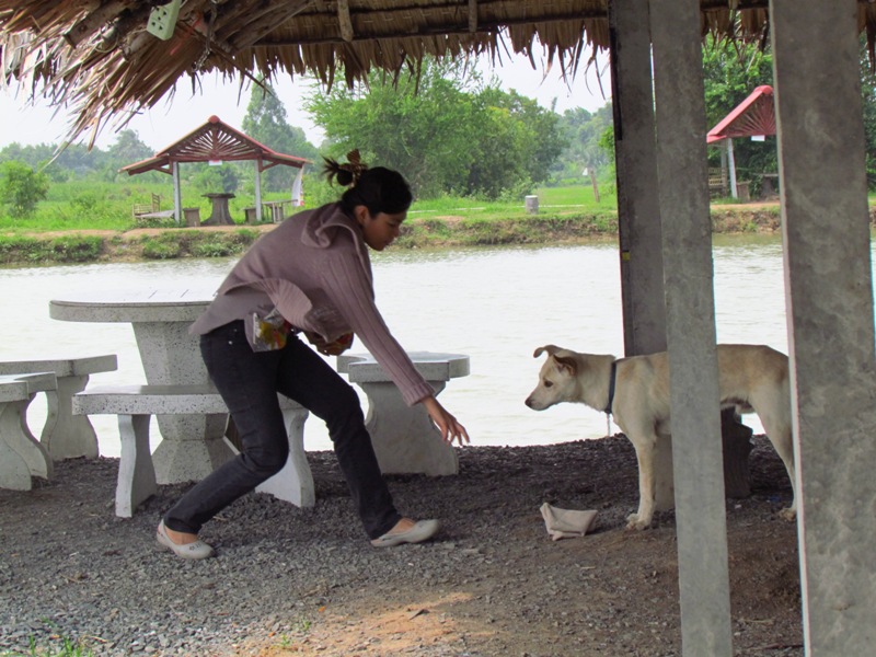 เล่นเอา เราต้องตามลุ้น กะ  น้อง  เลย :grin: :laughing:

ไอ้ขาว    มีเหล่...  มาที่มือ    คงนึก  ไม