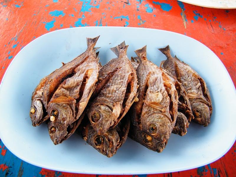 ไต๋เรืองเลยจัดให้โนบิทันทีที่ร้อง