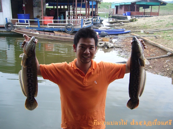 ขอหล่อก่อนนำปลาไปเก็บในถังครับน้า