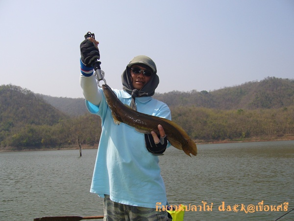 ขอลงรูปเก่ามาให้ได้ชมกันนะครับ   ไป