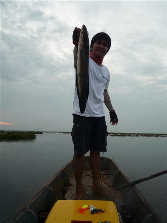 ปลากัดดีแต่เช้า วันนี้เราคงไม่แห้ว แล้วละที่รัก จริงมั้ย  :laughing: :laughing: :laughing:  ผบ. บอกไ