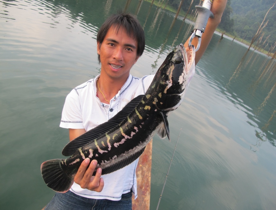 



ขออีกรูปครับๆ