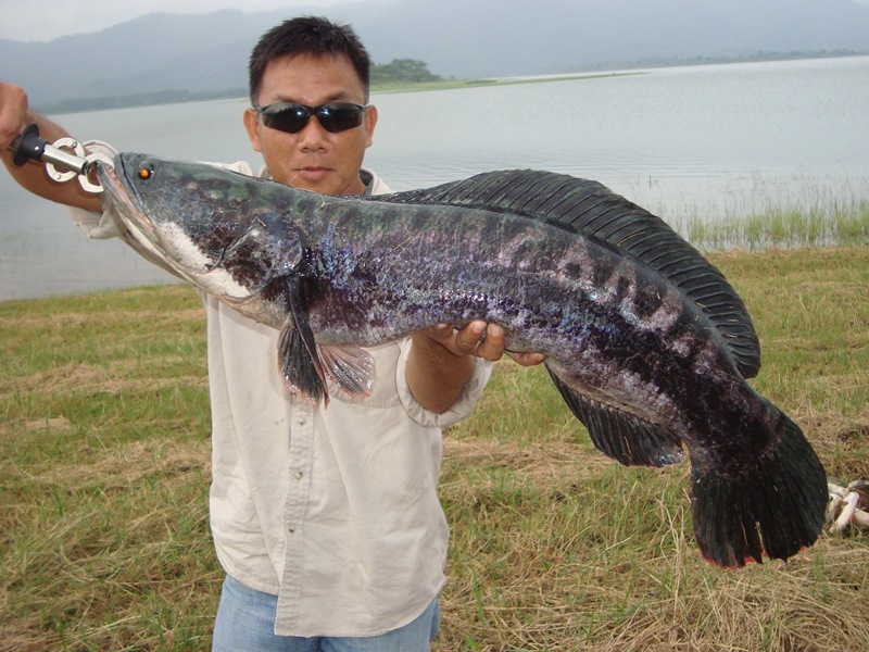 ถึงฝั่งแล้ว ขอหล่ออีกที.. :cool: :cool: