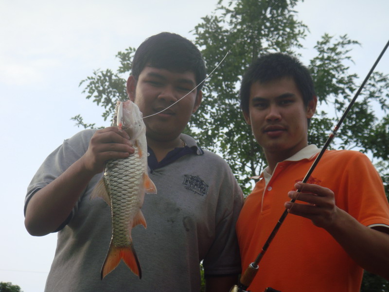 [q][i]อ้างถึง: ducky1235 posted: 27-06-2554, 08:51:49[/i]

++หวัดดีค