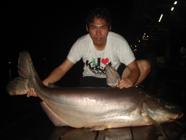 [q][i]อ้างถึง: moopark posted: 01-07-2554, 17:52:06[/i]

เมื่อวันเ