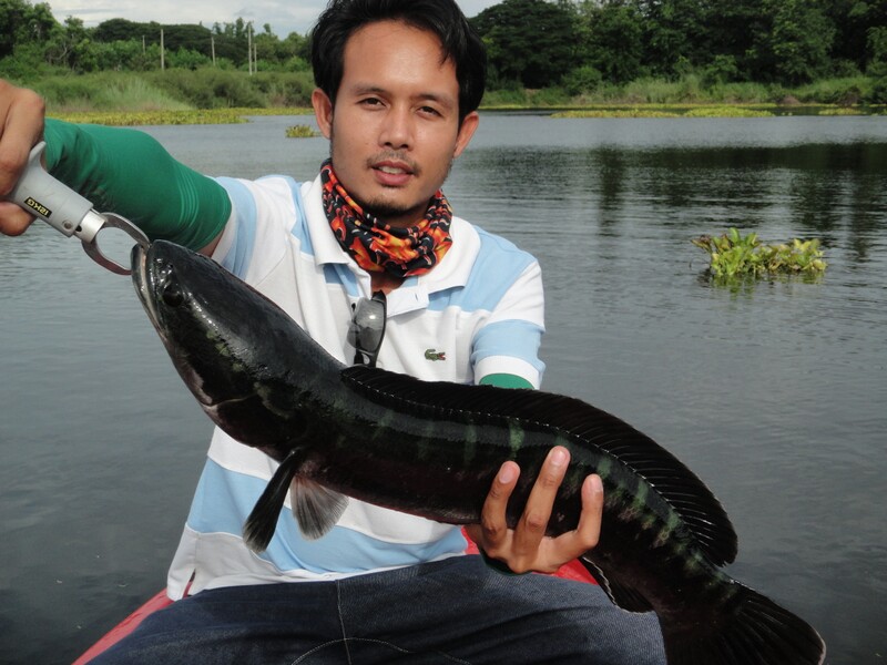 จัดไปหล่อๆ
 :grin: :grin: :grin: :grin: :grin: :grin: :cool: :cool: :cool: :cool: :cool: :cool: :co