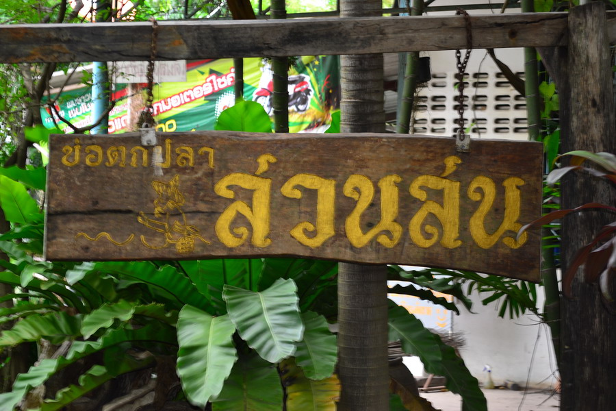 ไปหัดสปิ๋วที่ สวนสนฟิชชิ่งปาร์ค ภาค2 (จัดหนัก)