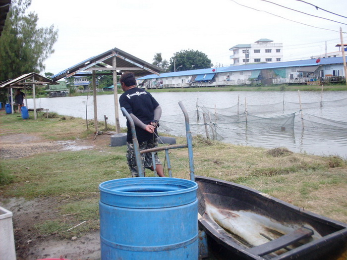 ทำหน้าที่ พี่ชายที่แสนดี  เอาเรือไปเก็บ 

ดูซิ  พี่ตรากตรำขนาดไหน  เสียสละเอาเรือไปเก็บ  ทั้งๆที่แ