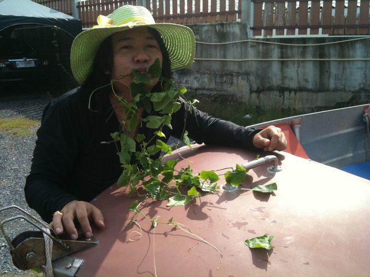 เดียวอย่าเพิ่งกิน จะเอาไปต้มกับมาม่า

 :laughing: :laughing: :laughing: