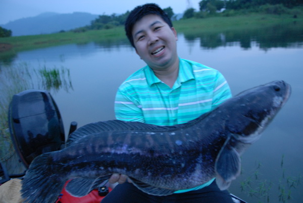 ระหว่างขับเรือกลับลูกน้องบอก  เจ้านายขออีกหลืบก่อนเลิกวันนี้มือขึ้น เกาะกลางอาจมีตัวคนชอบขับเรือผ่าน