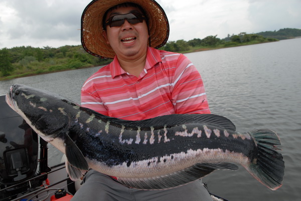 8.30 ถึงสถานที่เลย แต่ได้ตัวเดียวเองทั้งวัน  วิ่งน้ำมันหมดครึ่งถัง วนหาลูกครอกอย่างเดียว