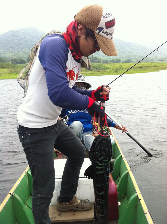 ปลาใครก้อจัดการเอาเองเน้อ

 :grin: :grin: :grin: