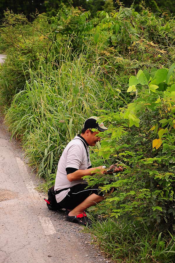 โปรกานต์หากินใกล้ที่รถจอดเลยเหรอ ไม่เดินไปข้างในเหมือนน้าตู่กับน้องแป้นเหรอคร๊าบบบ :grin: :grin: :gr