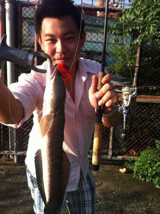 ดูชัดๆอีกรูป รอก ตัวนี้เน้อ  :grin: :grin: :grin: :grin: