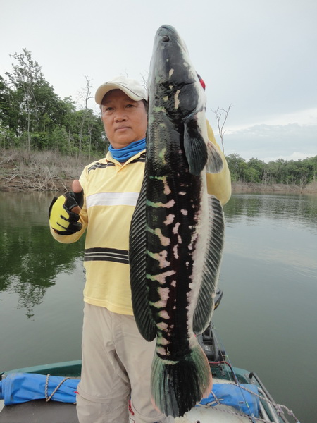 จัดไปครับ 