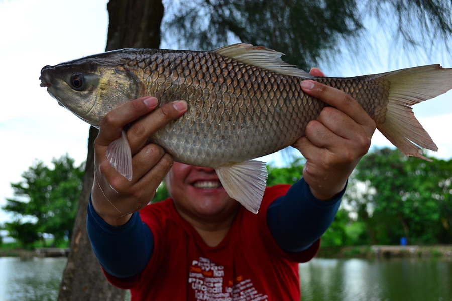 ลงพุงซะด้วยตัวนี้ :grin: