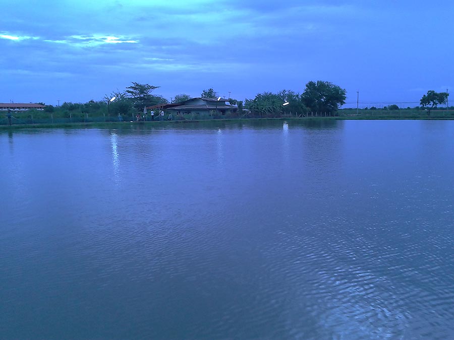 ตามตำราธรรมชาติ เวลามืด ต้องผิวน้ำ