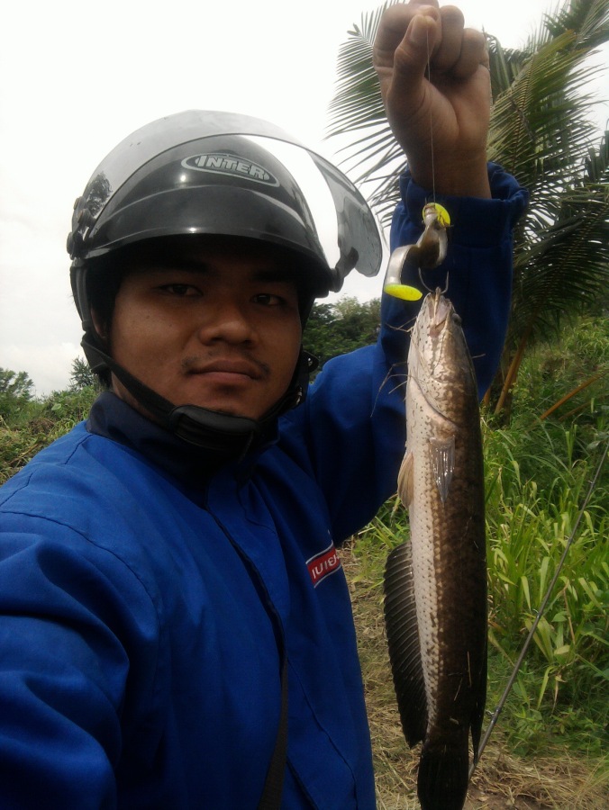 ช่อนข้างทาง มั่ง ^^ สิงห์บุรี-ชัยนาท