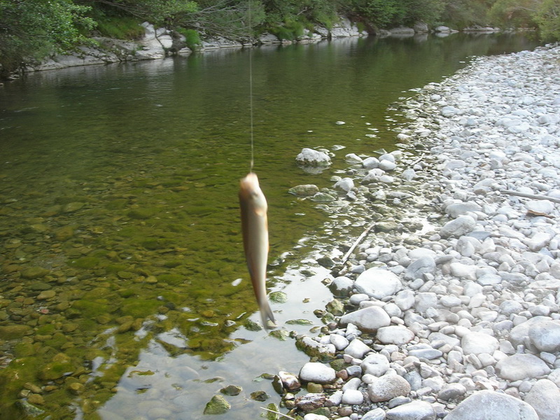ถึงที่พักเดินไปดูแม่นำ้หลังที่พัก ตีเหยื่อไปร้ยกว่าไม้ ไม่มีปลากัดเลย เปลี่ยนหยื่อไปเกือบหมดกระเป๋าแ