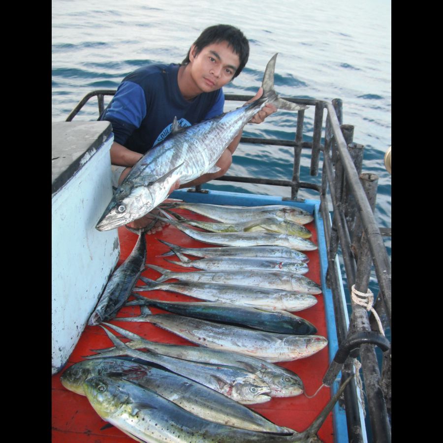 ขึ้นมาลงสายต่อทันที โดนอีก2ครั้งครับแต่ติดไม่เต็มหลุดไปแบบน่าเสียดาย ปลามันคงกัดแบบเฉี่ยวเหยื่อไปนิด