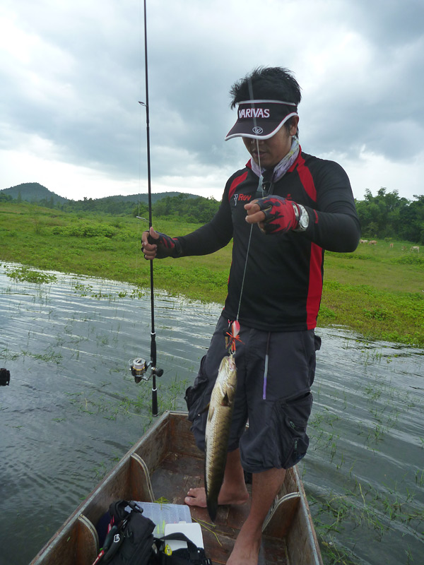 มันมาตรงเวลากับฝน