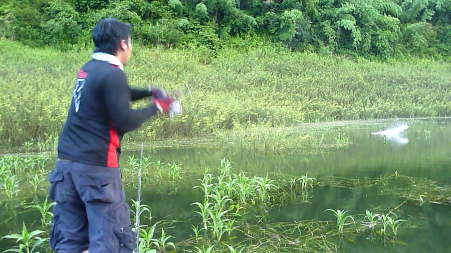 ฝั่บ