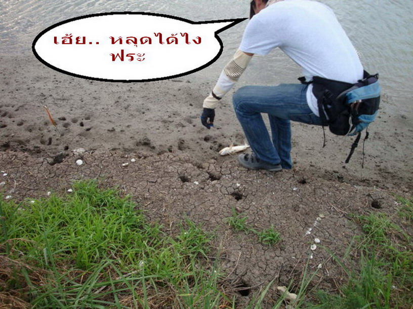 กร๊ากกก........  กำลังจะหล่อ  ด๊านนน  มีเหตุต้องเหนื่อย  งานเข้ากันนาทีสุดท้ายจริงๆ  :laughing: :lau